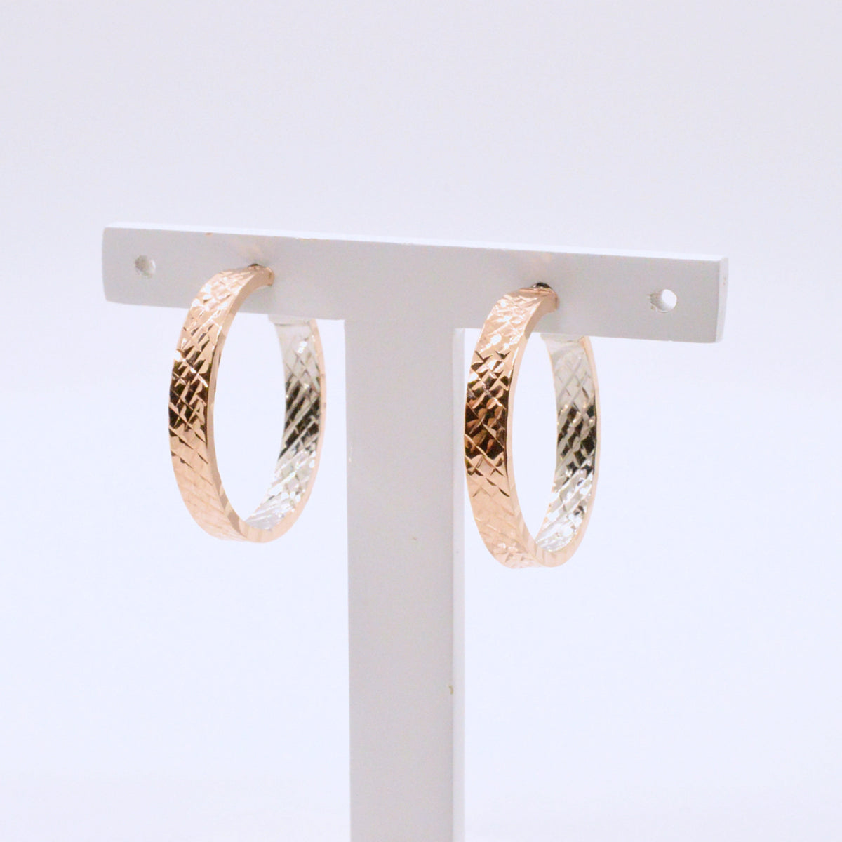 Boucles D'oreilles Anneaux A247R