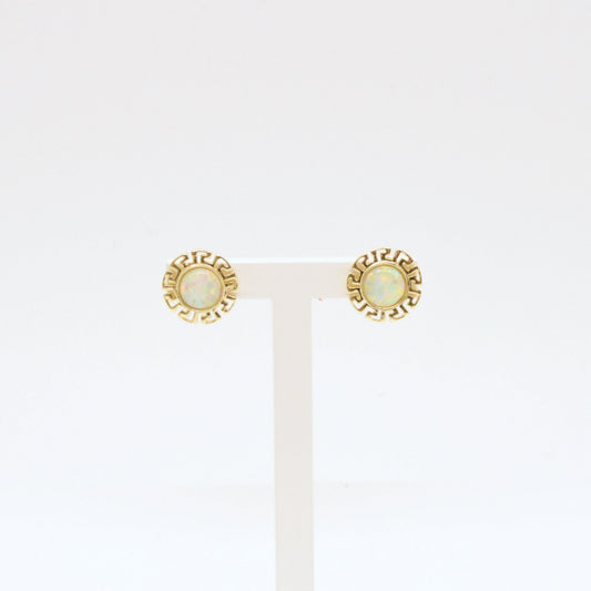  Boucles D'oreilles T022