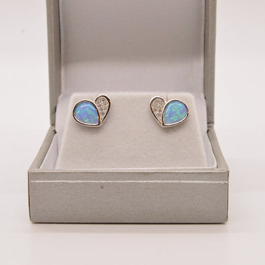  Boucles D'oreilles T05